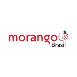 Morango Brasil